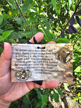 Load image into Gallery viewer, Pyrite Gravel Bag