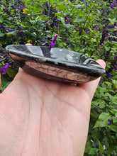Load image into Gallery viewer, Orthoceras Fossil Heart Bowl #2