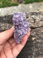 Load image into Gallery viewer, $12 Amethyst Clusters