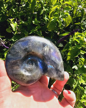 Load image into Gallery viewer, Labradorite Shell Carving #2