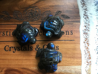 Labradorite Turtle Carving