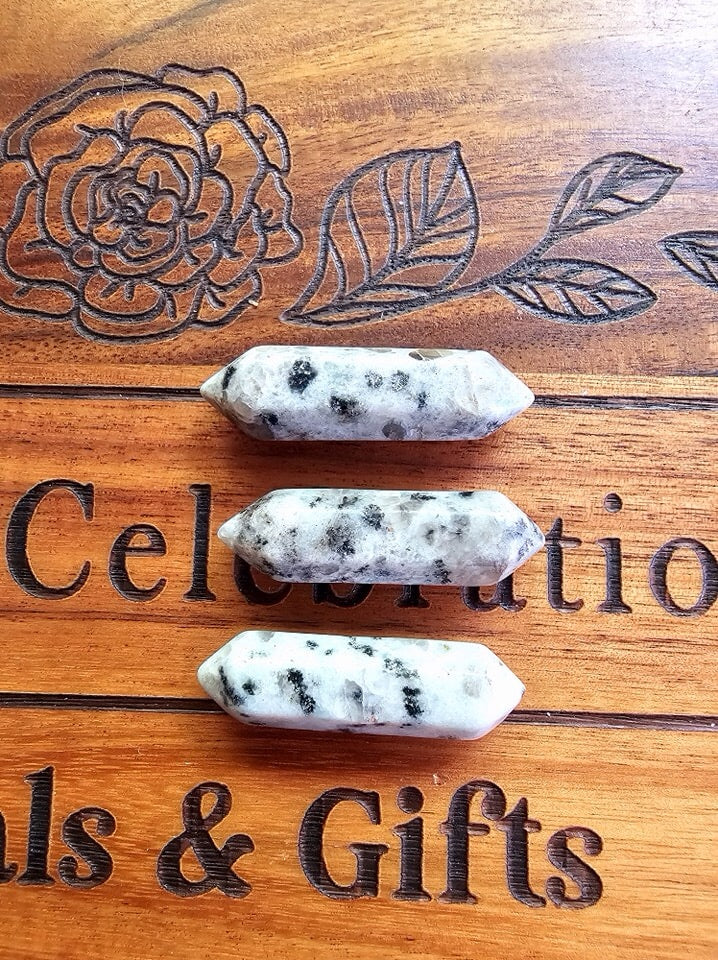 Kiwi Jasper DT
