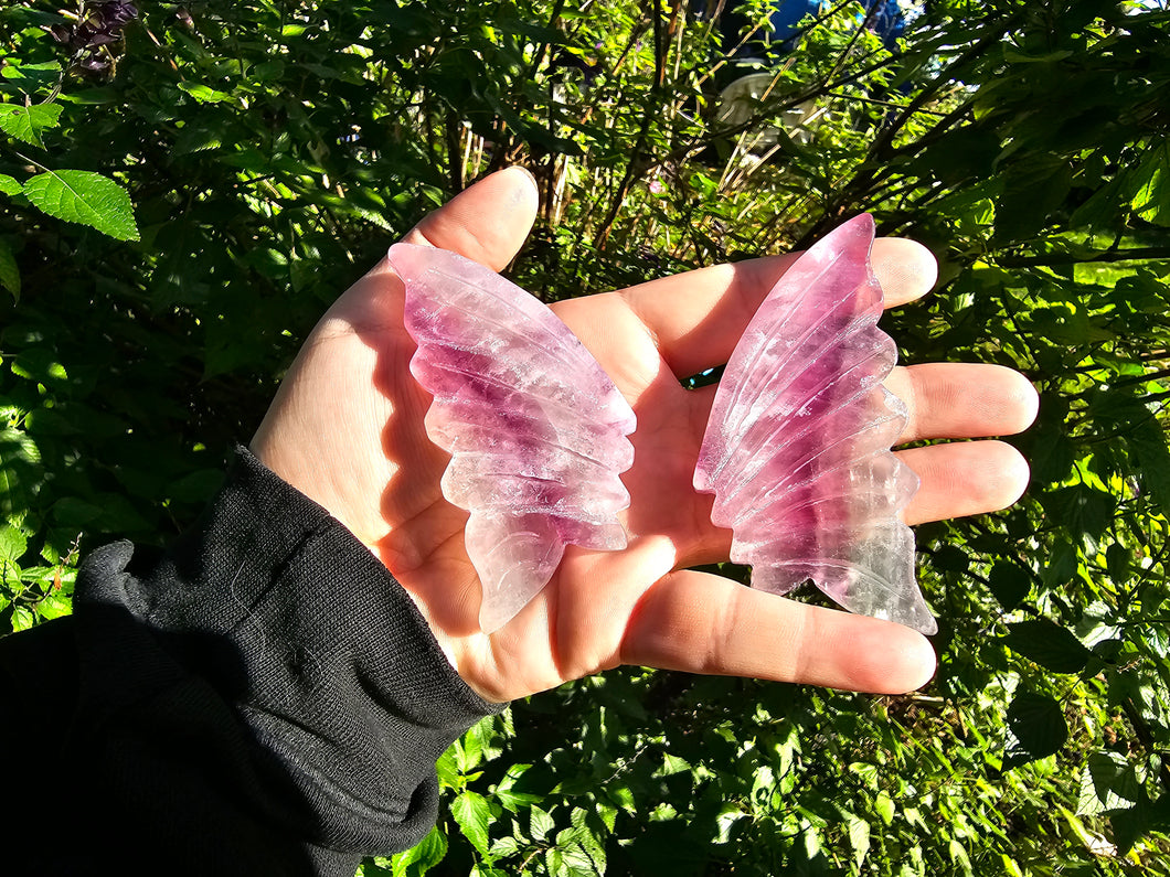 Rainbow Fluorite Wing Set #2