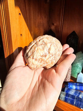 Red Vein Jasper Brain Carving
