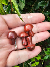 Load image into Gallery viewer, Self Standing Mushrooms