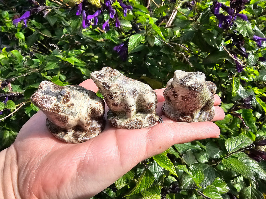 Green Cherry Agate Frog Carving