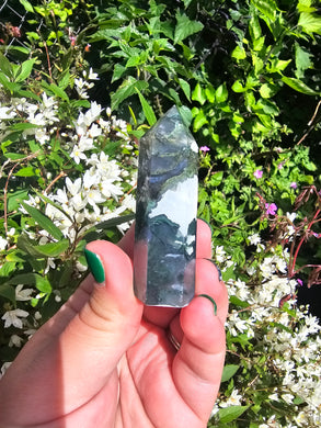 Moss Agate Point