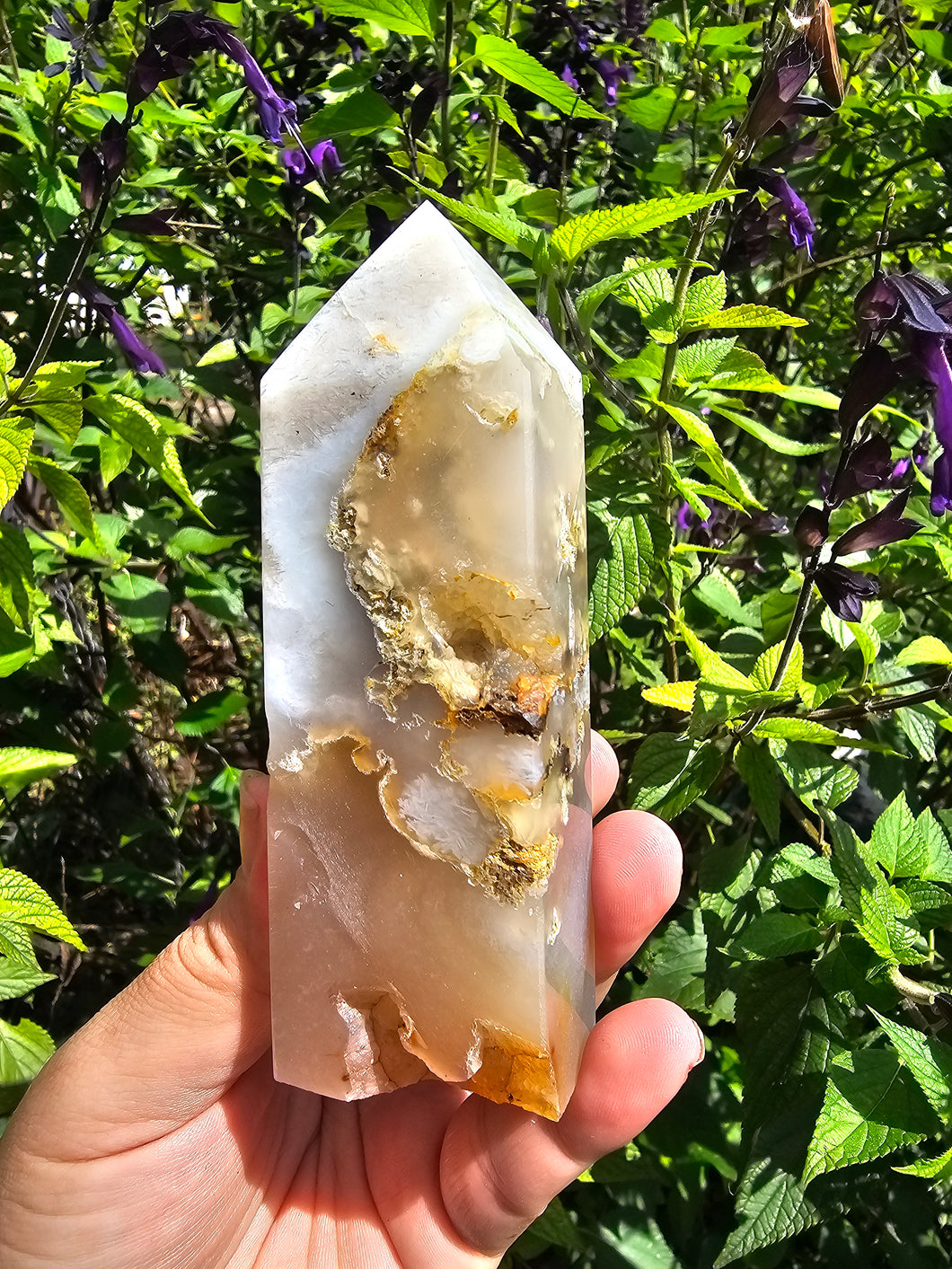 Flower Agate Point