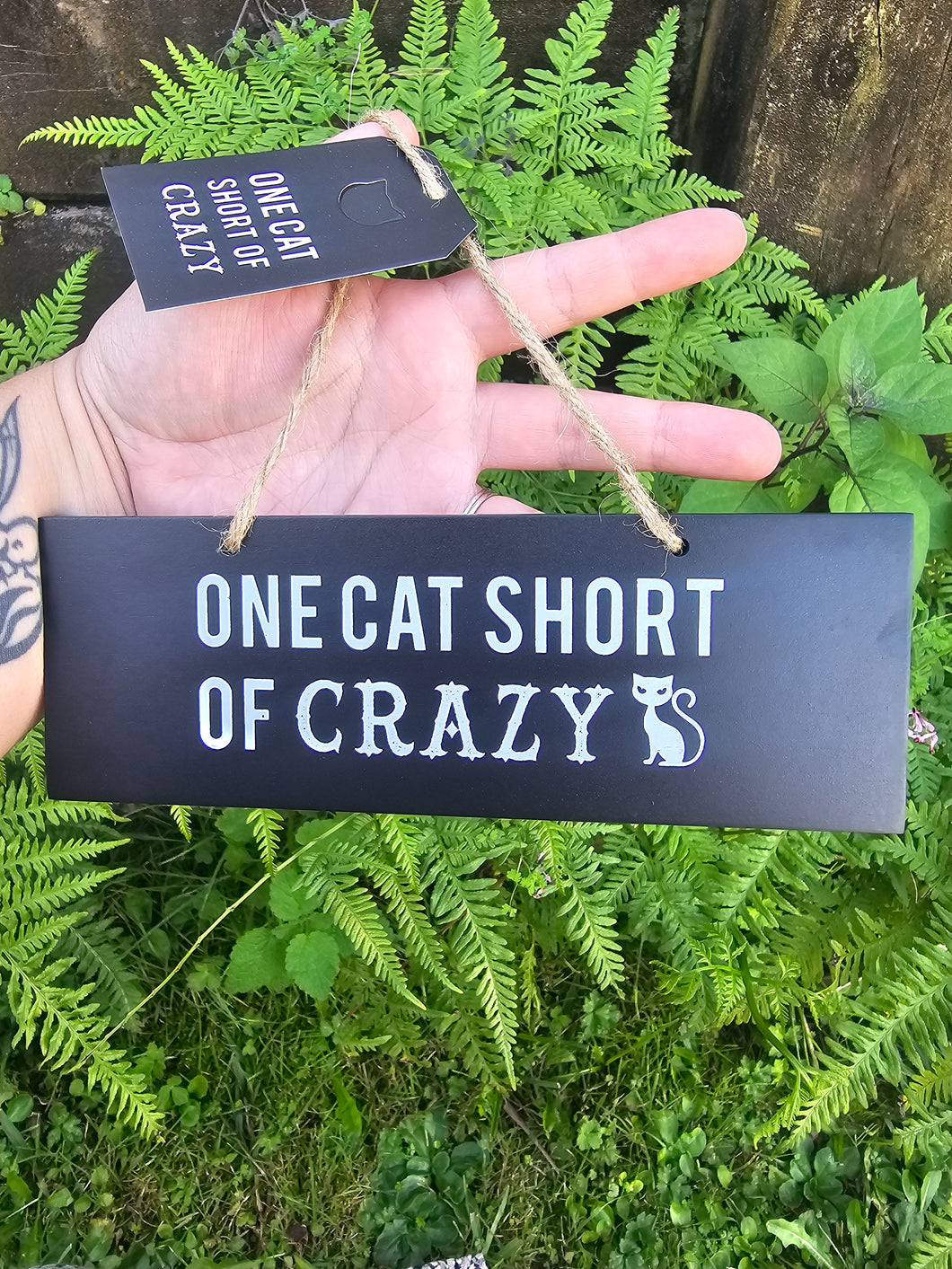 One Cat Plaque