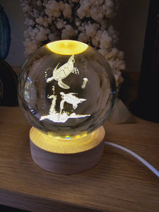 Glass Etched Sphere - Turtles