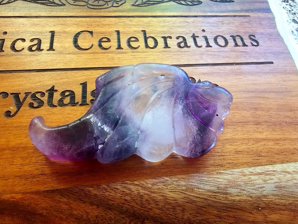 Rainbow Fluorite Wing