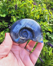 Load image into Gallery viewer, Labradorite Shell Carving