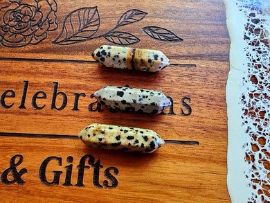 Dalmation Jasper DT