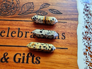 Dalmation Jasper DT