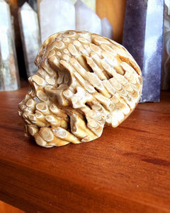 Chocolate Calcite Skull