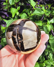 Load image into Gallery viewer, Septarian Sphere with Pocket