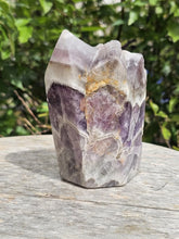 Load image into Gallery viewer, Dream Amethyst Elestial Cluster