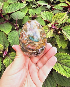 Ocean Jasper Egg