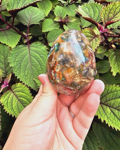 Ocean Jasper Egg