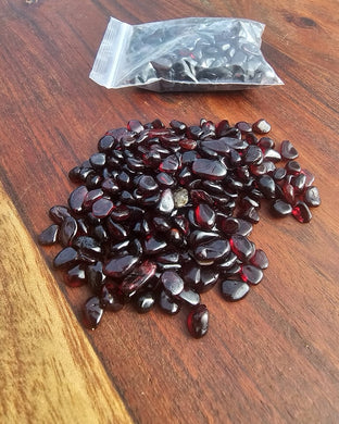 Red Garnet chip bag $5