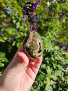 Ocean Jasper Egg