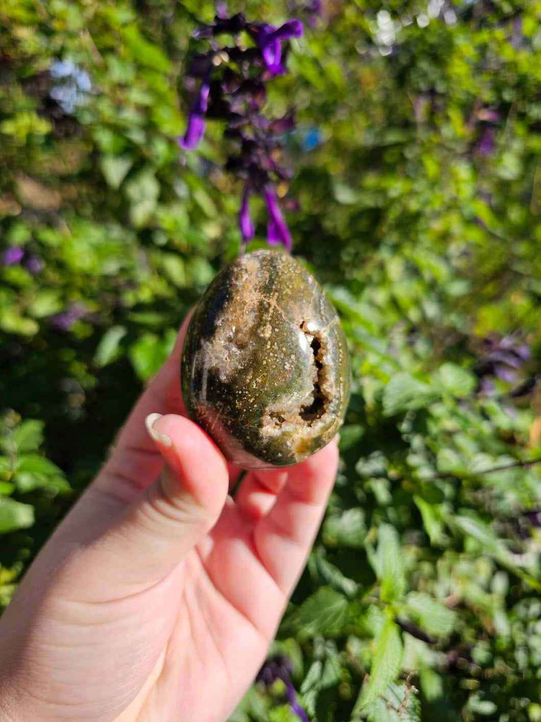 Ocean Jasper Egg