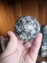 Load image into Gallery viewer, Orthoceras Fossil Sphere