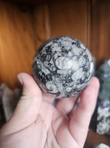 Orthoceras Fossil Sphere