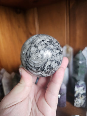Orthoceras Fossil Sphere