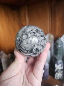 Orthoceras Fossil Sphere