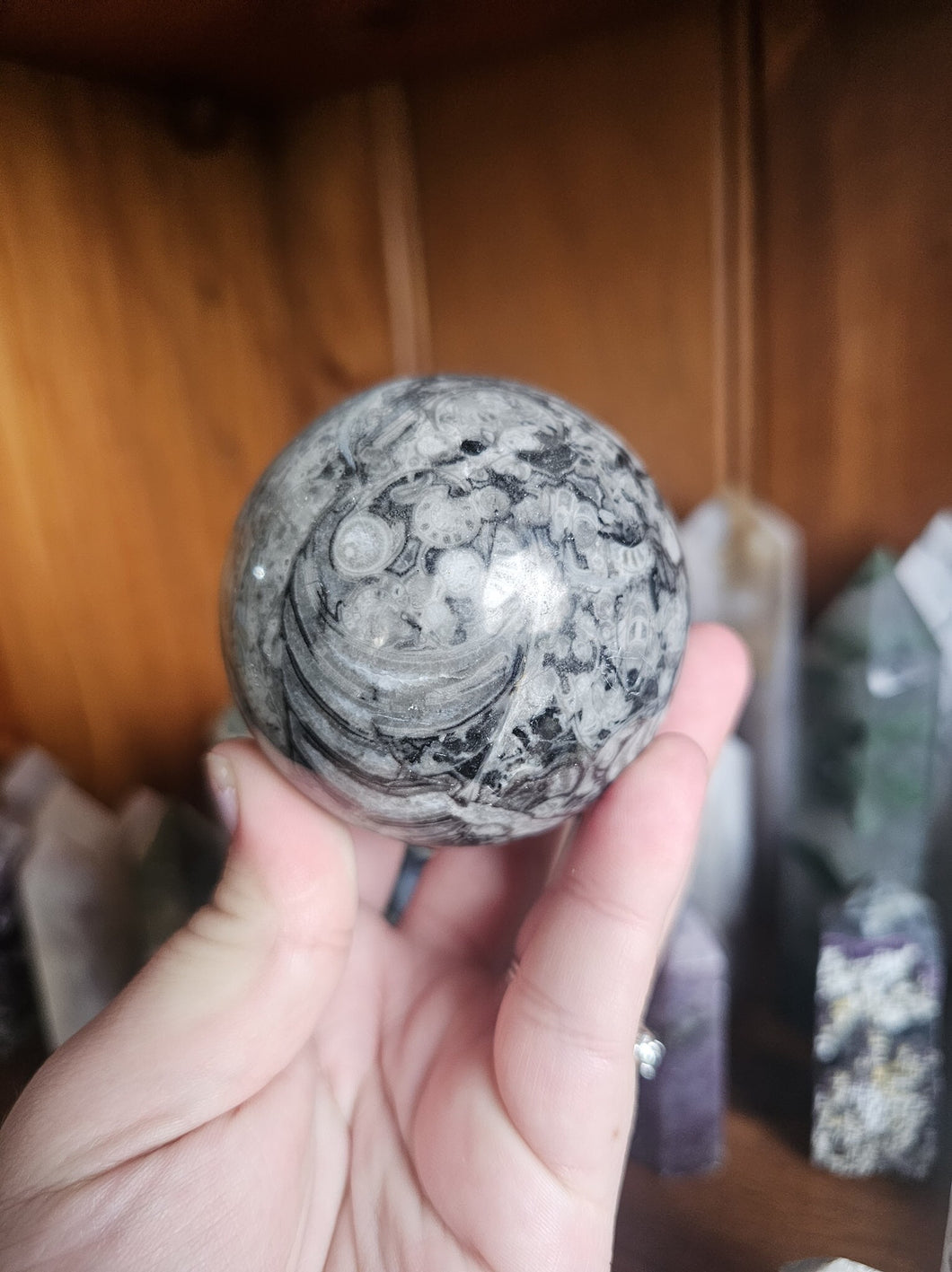 Orthoceras Fossil Sphere