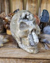 Load image into Gallery viewer, Volcano Agate Skull