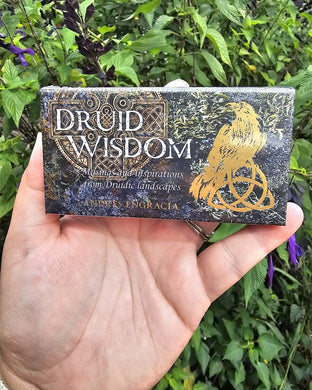 Druid Wisdom Affirmation Mini Cards - Andres Engracia