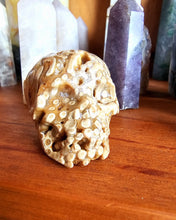 Load image into Gallery viewer, Chocolate Calcite Skull