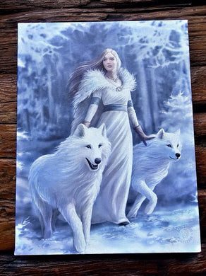 Winter Guardian Canvas - Anne Stokes