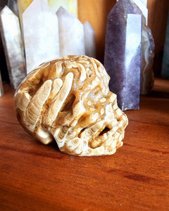 Chocolate Calcite Skull