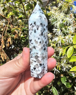 Kiwi Jasper Point