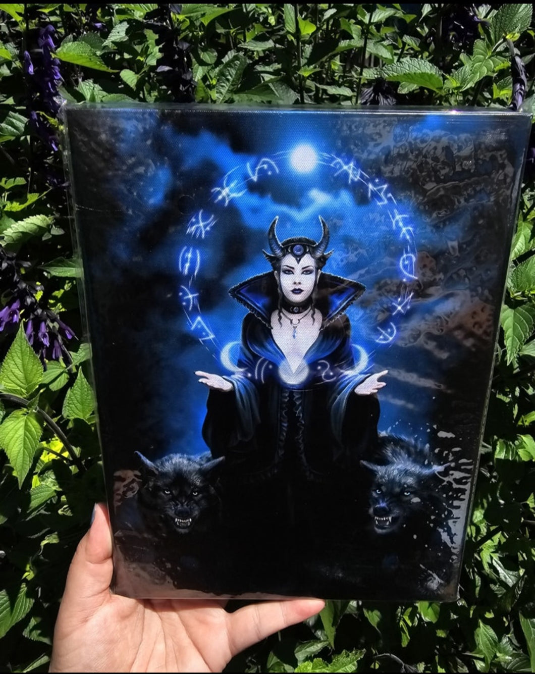 Moon Witch Canvas - Anne Stokes