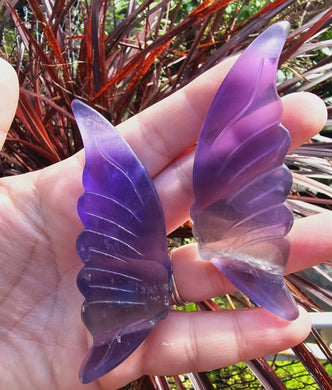 Fluorite Wing Set
