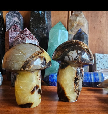 Septarian Mushroom