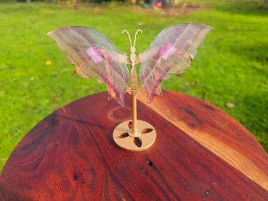 Fluorite Wing Set