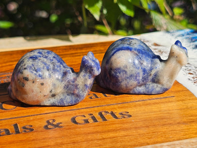 Sodalite Snail
