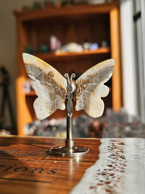 Banded Onyx Wing Set