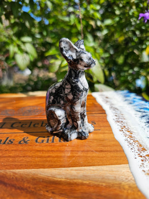 Orthoceras Fossil Cat Carving #3