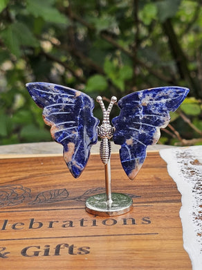 Sodalite Wing Set