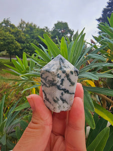 Moss Agate Point #1