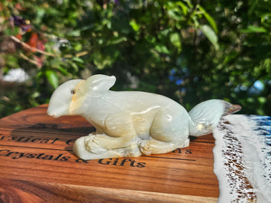 Caribbean Calcite Squirrel