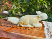 Load image into Gallery viewer, Caribbean Calcite Squirrel