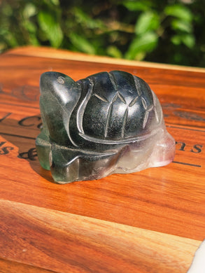 Rainbow Fluorite Turtle