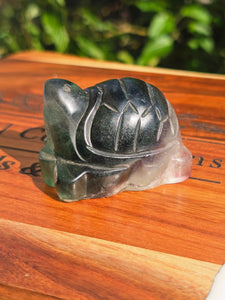 Rainbow Fluorite Turtle